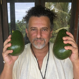 David Avocado Wolfe, telegram channel