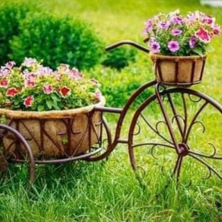 GENIAL Y JOVIAL, telegram channel