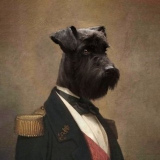 Lord Bebo & Friends, telegram channel