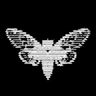 zicelaqo, telegram channel