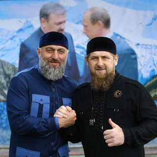 Адам Делимханов, telegram channel