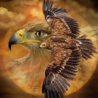 Aufwachen, telegram channel