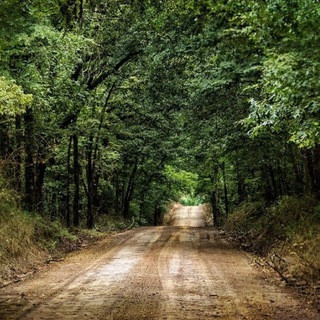 Dirt Road Discussions, telegram channel