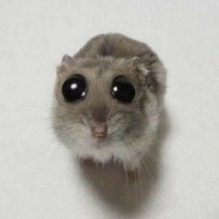 Стикеры | Стики | Stickers, telegram channel