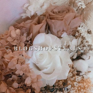 *:.. blogshopsteals , telegram channel