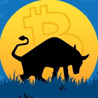 Bulls Unleashed, telegram channel