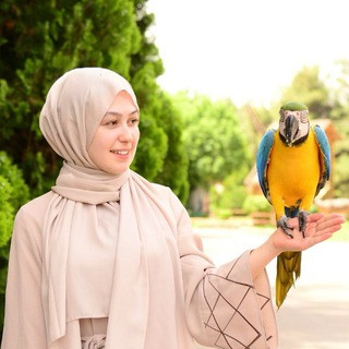 تعلم اللغة التركية مع لينا, telegram channel