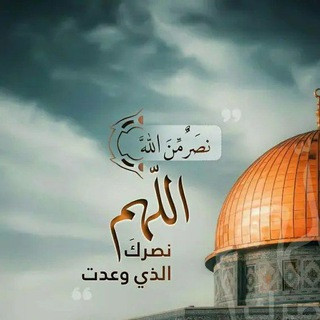 خواطر ذووق, telegram channel