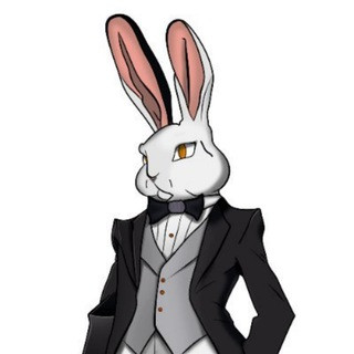 Money Bunny, telegram channel