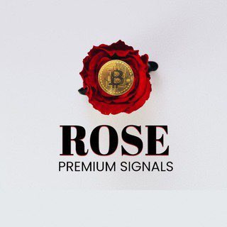 Rose Premium Signal, telegram channel