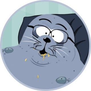 Sealana Announcements, telegram channel