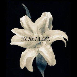 SEREIA X, telegram channel