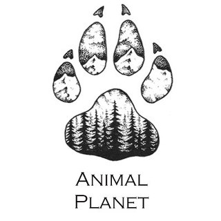 Animal Planet, telegram channel