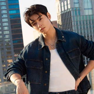 CHA EUN WOO (차은우), telegram channel