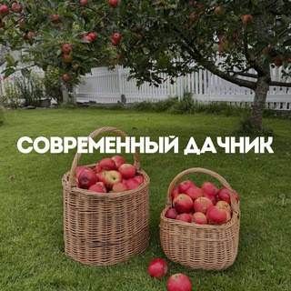 Современный дачник, telegram channel