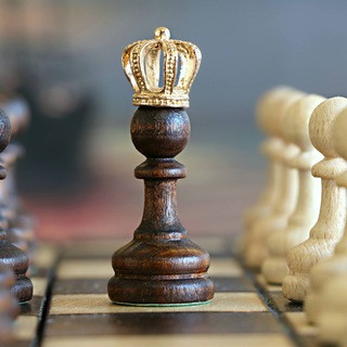 Daily Chess Puzzle, telegram channel
