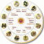 Indian Astrology and jyotishi related discussion