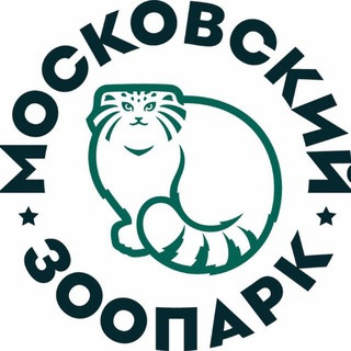 Московский зоопарк, telegram channel