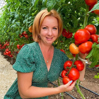 Poli_na_malinaa, telegram channel