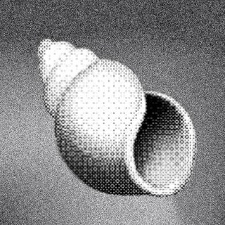 Shoal Research Hub, telegram channel
