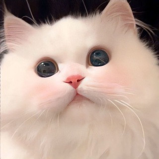 Stickers, telegram channel