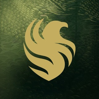 Team Falcons, telegram channel