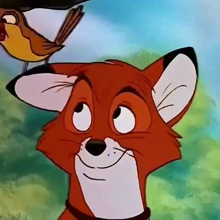 The Fox's Den, telegram channel