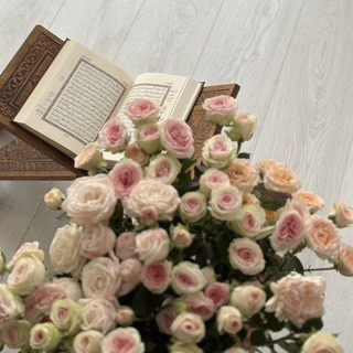 - اقتباسات عُتمة ⁸⁶ﾒ., telegram channel