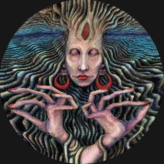 D4NiVOiD, telegram channel