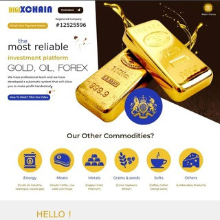 DIGIXCHAIN, telegram group