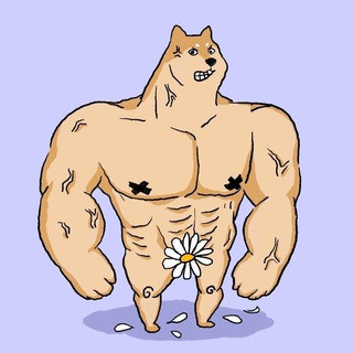 Hachi the Dog Channel, telegram channel