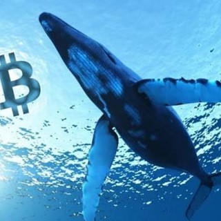 Whales Crypto Guide, telegram channel