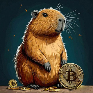 Crypto Сlicker|CC, telegram channel