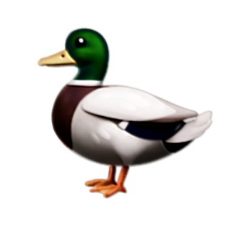DuckAcc | Free Accounts Steam, telegram channel