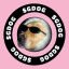 $GDOG | Solana Meme