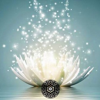 Awakening-now , telegram channel