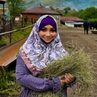️ Алина Лайв ️, telegram channel