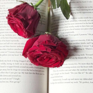 قناة تعليم اللغه الانجليزيه ., telegram channel