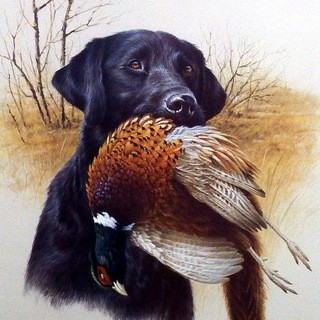 Ножи | Рыбалка | Охота, telegram channel