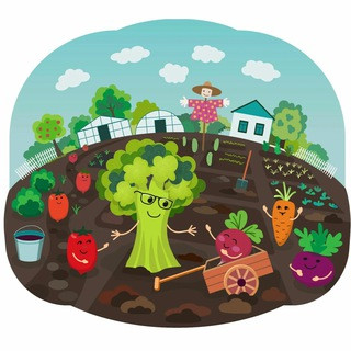Садовод, telegram channel