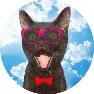 SANISHOW, telegram channel