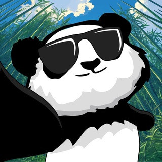 Puni Quest, telegram channel