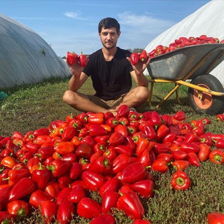 Яков Огородник, telegram channel