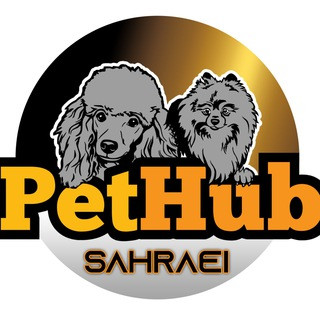 pomeranianسگ پامر پامرانین توی پودل, telegram channel