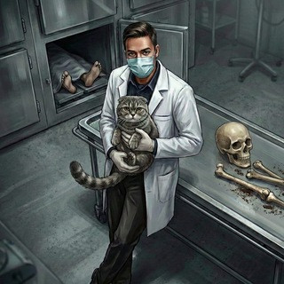 Записки судмедэксперта, telegram channel
