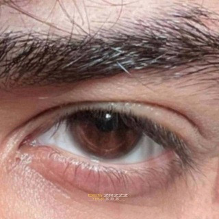 ؏َ, telegram channel