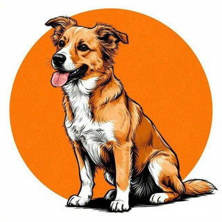 Абрикосовая собака 🦮животные с юмором., telegram channel