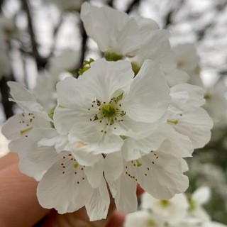 DOĞA İLE İÇ İÇE, telegram channel