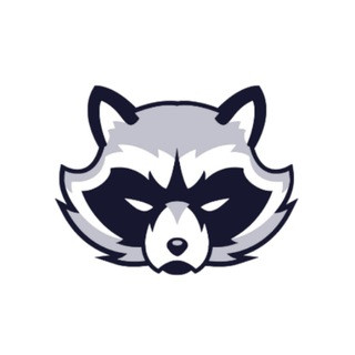 SkinBetHub, telegram channel