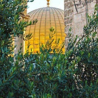 مَسرىَ الأْقَصى, telegram channel